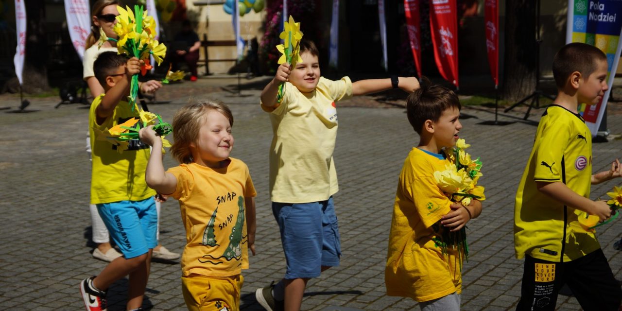 Oława pełna żonkili i nadziei