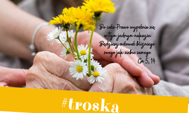 #troska – spotkanie formacyjne dla wolontariuszy