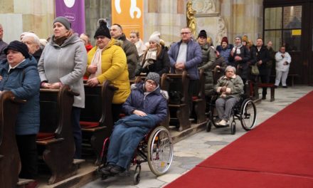 Obchody 33. Dnia Chorych